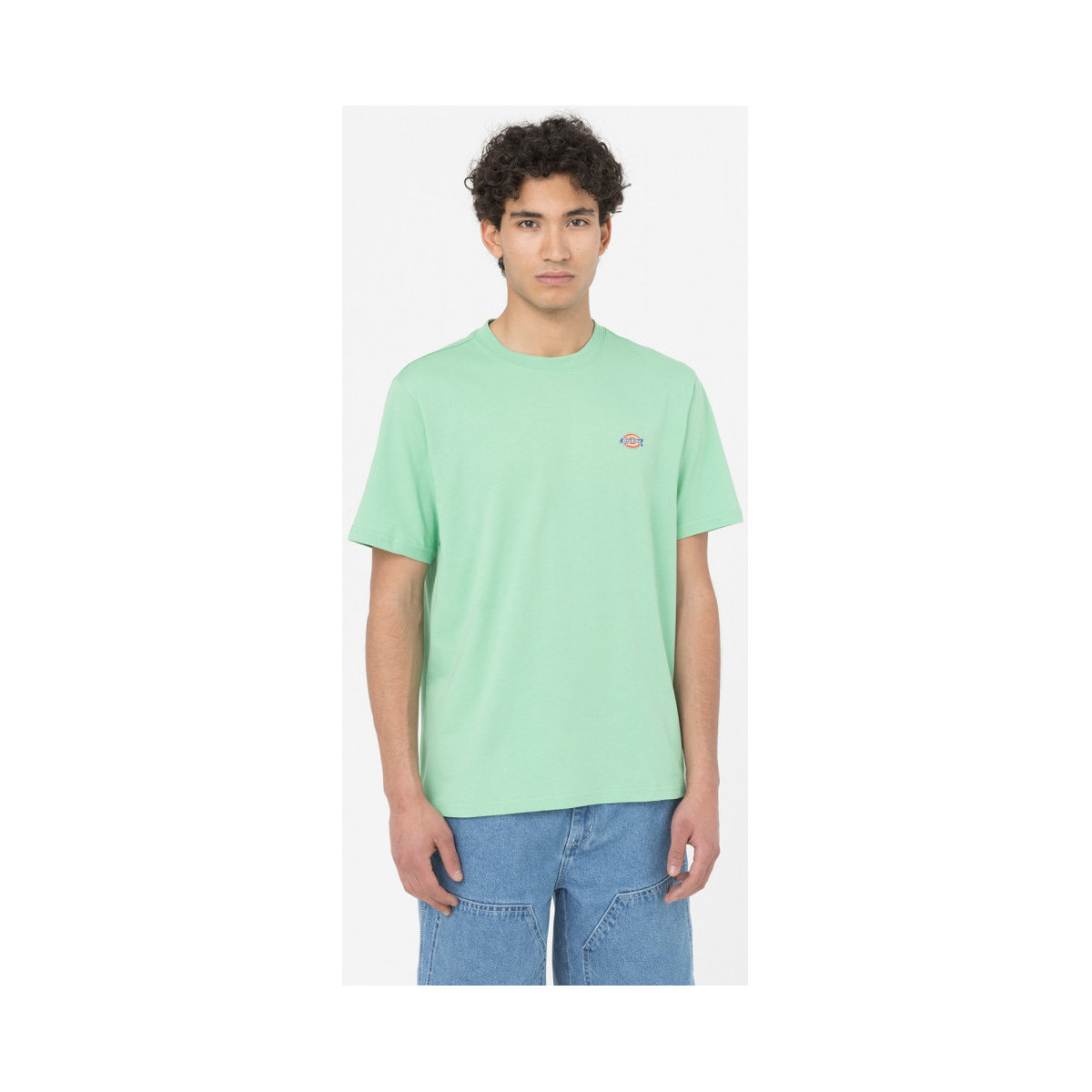 Textil Homem T-shirts e Pólos Dickies Ss mapleton t-shirt Verde