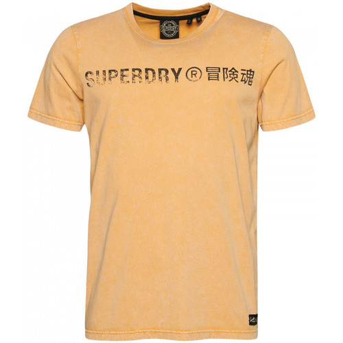 Textil Homem T-shirts e Pólos Superdry Vintage corp logo Bege