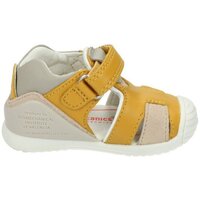 Sapatos Criança Sandálias Biomecanics  