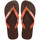 Sapatos Chinelos Havaianas BRASIL LOGO Escuro / Castanho