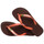 Sapatos Chinelos Havaianas BRASIL LOGO Escuro / Castanho