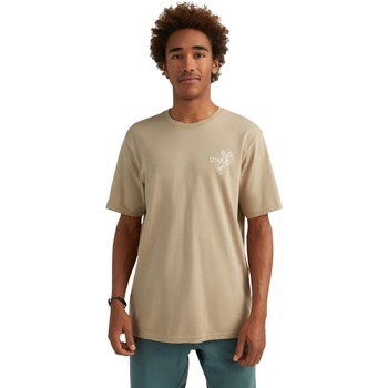 Textil Homem T-Shirt mangas curtas O'neill T-shirt  O'riginal Surfer Cinza