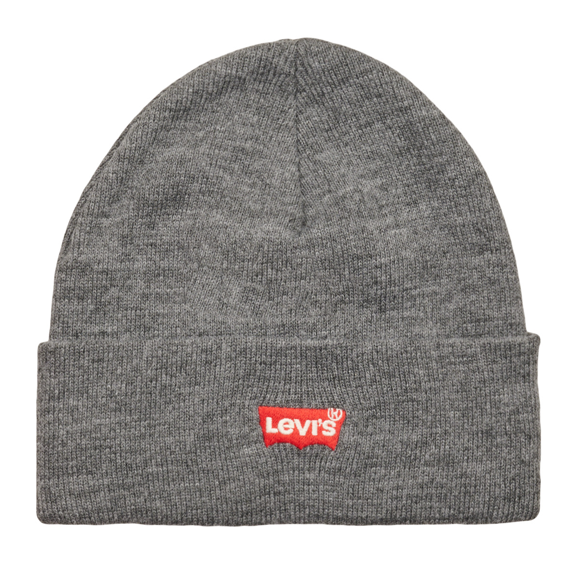 Acessórios Gorro Levi's RED BATWING EMBROIDERED SLOUCHY BEANIE Cinza