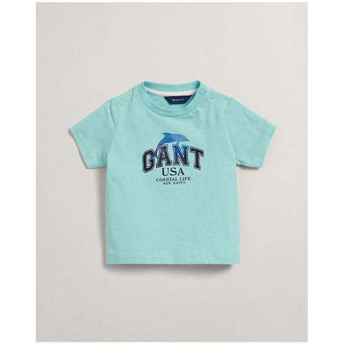 Textil Rapaz Quadros / telas Gant Kids 505175-371-3-12 Azul