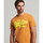 Textil Homem T-shirts e Pólos Superdry Vintage vl neon Castanho