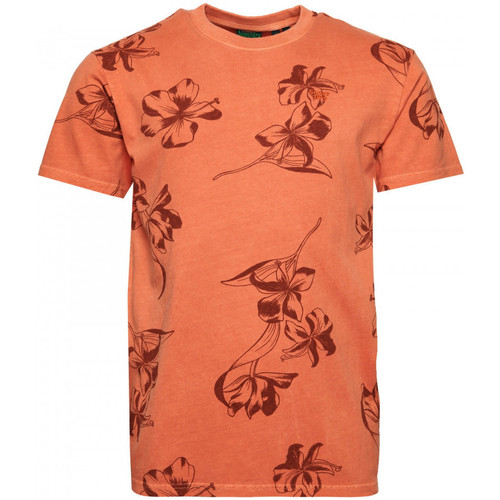 Textil Homem T-shirts touch e Pólos Superdry Vintage od printed Laranja