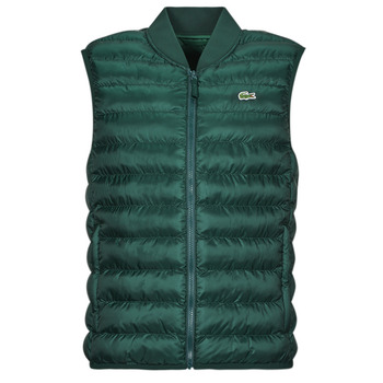 Textil Homem Quispos Lacoste skjorter BH0537-YZP Verde