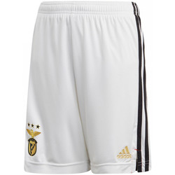 Textil cathariça Shorts / Bermudas adidas Originals  Branco