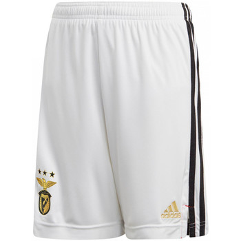 Textil Rapaz Shorts / Bermudas Back adidas Originals  Branco