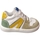 Sapatos Criança Sapatilhas NeroGiardini NG Multicolor