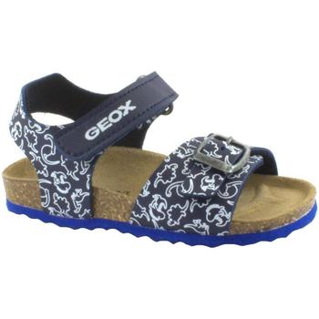 Sapatos Criança Sandálias Geox GEO-E23-B922QA-NW-b Azul