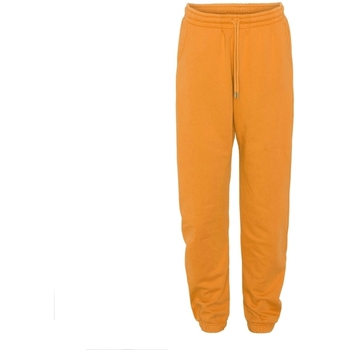 Textil Calças Colorful Standard Jogging  Organic sunny orange Laranja