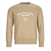 Textil Homem Sweats Calvin Klein Performance Essential Zip Long Sleeve Top VARSITY CURVE CREW NECK Bege