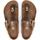 Sapatos Mulher Chinelos Birkenstock  Castanho