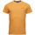 Textil Homem T-shirts e Pólos Superdry Vintage logo emb Laranja