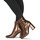 Sapatos Mulher Botins Moony Mood NEW02 Bronze