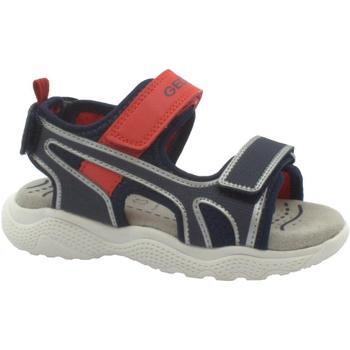 Sapatos Criança Sandálias Geox GEO-E23-J35GPA-NR-b Azul