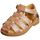 Sapatos Criança Sandálias Platis NO 19 Multicolor