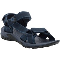 Sapatos Homem Sandálias Jack Wolfskin Lakewood Ride Azul marinho