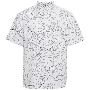 Textil Homem Camisas mangas comprida Solid Chemise  Edgard Branco
