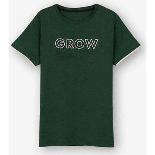 Textil Rapaz T-shirts e Pólos Tiffosi 10049314-868-4-21 Verde
