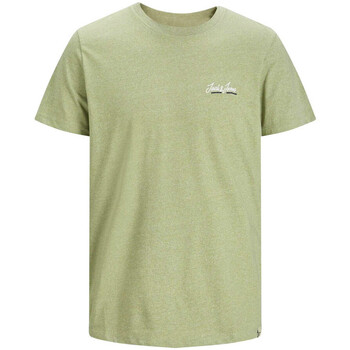 Textil Rapaz T-shirts e Pólos Jack & Jones  Verde