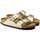 Sapatos Mulher Sandálias Birkenstock Arizona BS Ouro