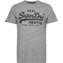 Textil Homem T-Shirt mangas curtas Superdry 210006 Cinza