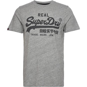 Textil Homem T-Shirt mangas curtas Superdry 210006 Cinza