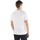 Textil Homem T-shirts e Pólos Harmont & Blaine IN1001N21055 Branco