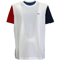 Textil Homem T-shirts e Pólos Harmont & Blaine IRJ210021236 Branco