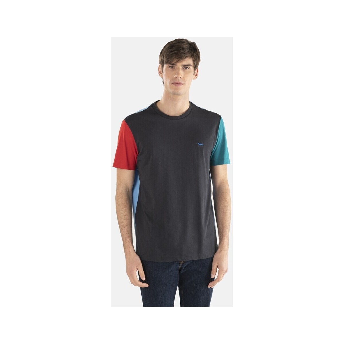 Textil Homem T-shirts e Pólos Harmont & Blaine IRJ210021236 Azul