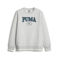Textil Rapaz Sweats Puma Zip Puma Zip SQUAD CREW FL B Cinza