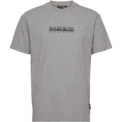 Textil Homem T-Shirt mangas curtas Napapijri 210620 Cinza