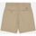 Textil Mulher Shorts / Bermudas Dickies PHOENIX REC SHORT - DK0A4Y85-KHK1 KHAKI Bege