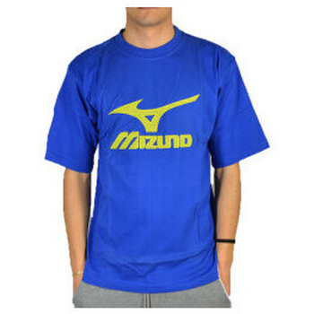 Textil Homem T-shirts e Pólos 13 Mizuno t.shirt logo Azul