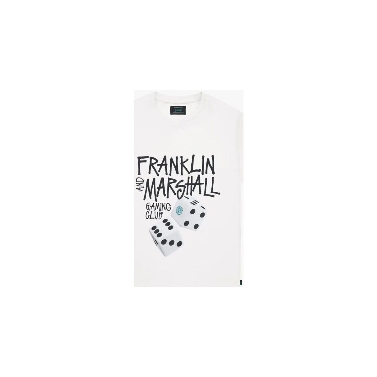 Textil Homem T-shirts e Pólos Franklin & Marshall JM3194.1012P01-011 Branco