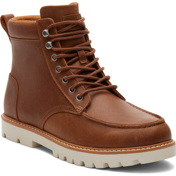 Sapatos Homem Botas baixas Toms Palomar Castanho
