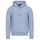 Textil Homem Sweats Polo Ralph Lauren SWEATSHIRT CAPUCHE LOGO CENTRAL EN DOUBLE KNIT TECH Azul