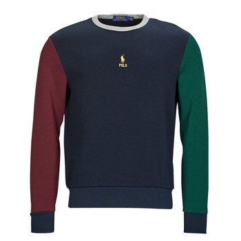 Textil Homem Sweats Polo Ralph Lauren SWEAT COL ROND EN DOUBLE KNIT TECH Multicolor