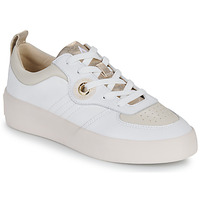 Sapatos Mulher Sapatilhas Armistice LOVA SNEAKER Sportiva Branco / Bege / Ouro