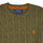 Textil Criança camisolas Polo Ralph Lauren LS CABLE CN-TOPS-SWEATER Cáqui