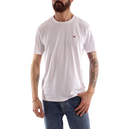 Textil Homem T-Shirt polo mangas curtas Napapijri NP0A4H8D Branco