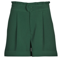 Textil Mulher Shorts / Bermudas Only ONLROSEMARY HW FRILL WAFFLE SHORTS PNT Verde
