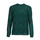 Textil Mulher Tops / Blusas Only ONLKACEY FR L/S HIGH NECK TOP PTM Verde