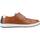Sapatos Homem Sapatos & Richelieu Fluchos F1715 Castanho