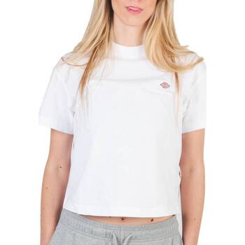 Textil Mulher T-Shirt mangas curtas Dickies OAKPORT BOXY TEE SS W Branco