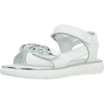 Sapatos Rapariga Sandálias Primigi 3928722P Branco