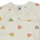 Textil Criança Pijamas / Camisas de dormir Petit Bateau LARIE Multicolor