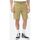 Textil Homem Richmond Shorts / Bermudas Dickies COBDEN DK0A4XES-KHK KHAKI Bege